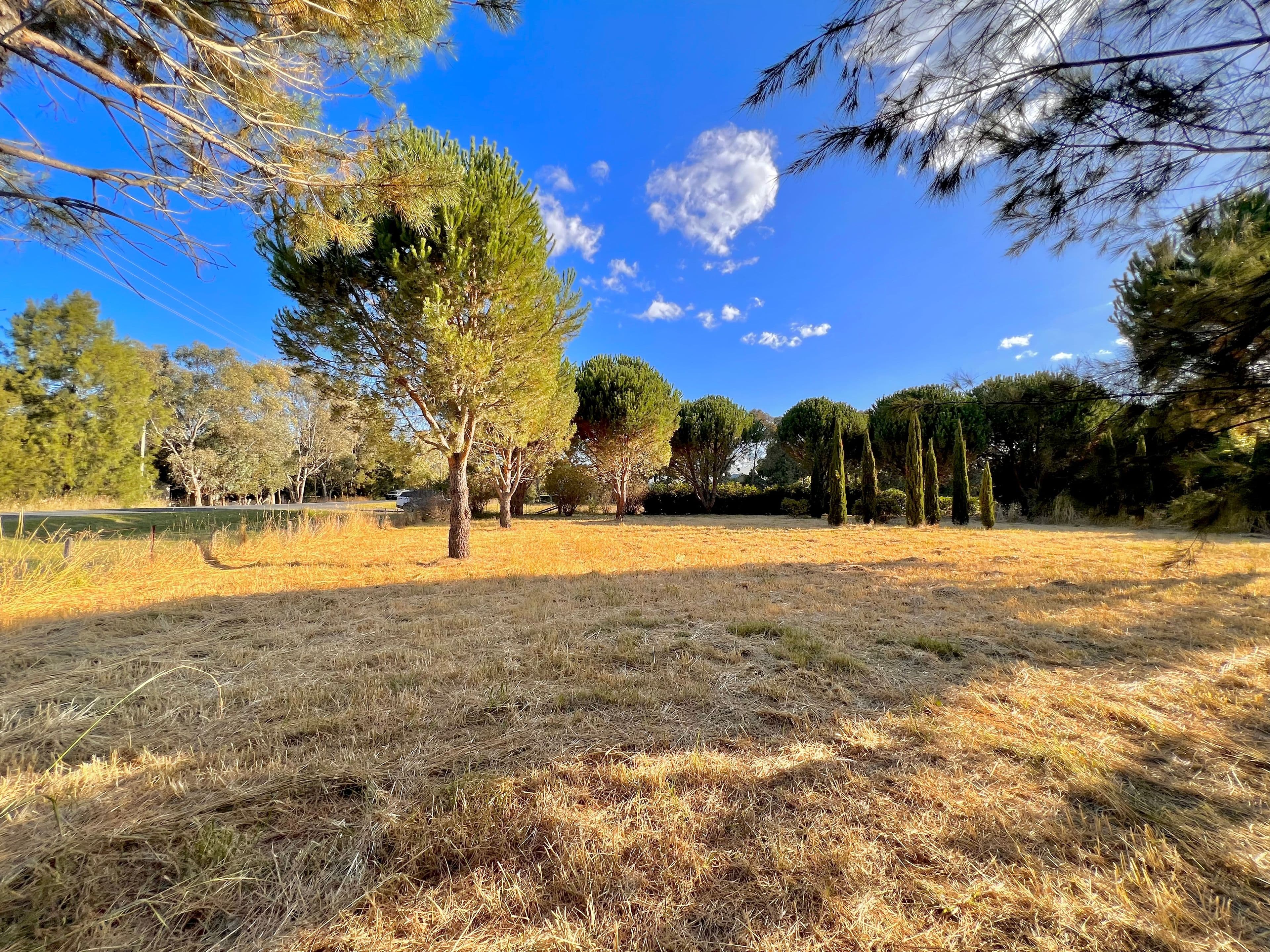 94 Cork Street, Gundaroo NSW 2620, Gundaroo - Thumbnail 5
