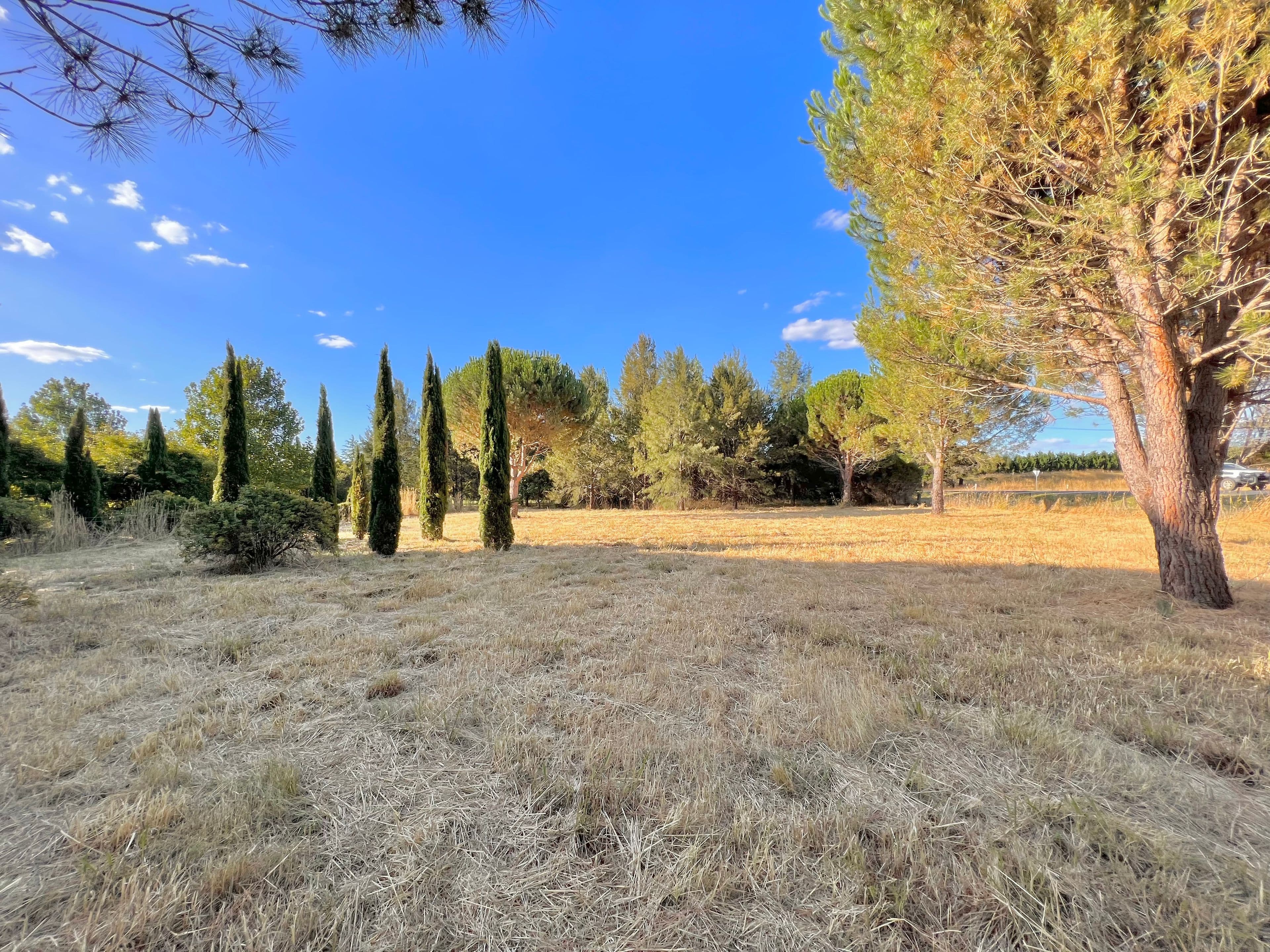 94 Cork Street, Gundaroo NSW 2620, Gundaroo - Thumbnail 6