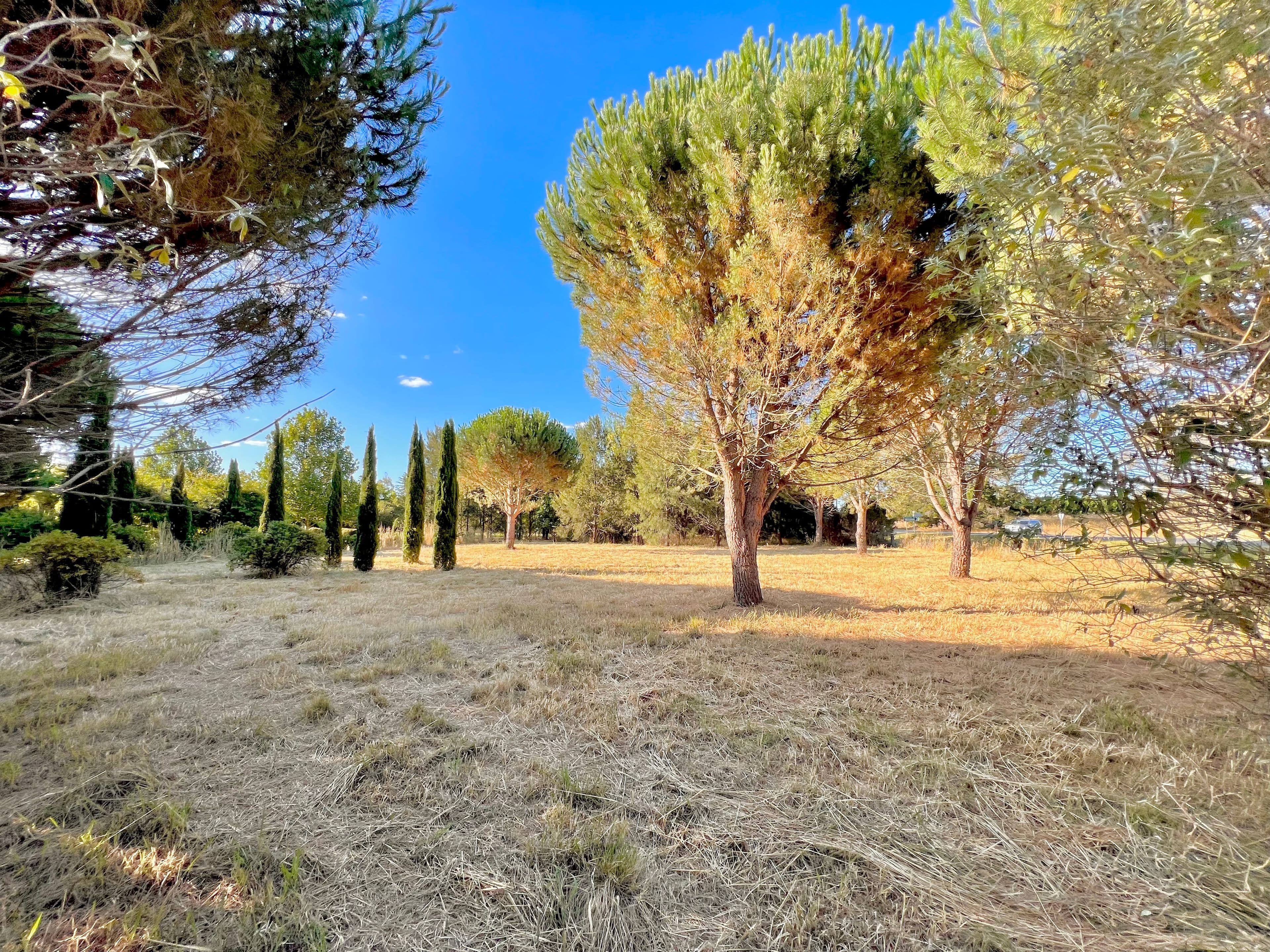 94 Cork Street, Gundaroo NSW 2620, Gundaroo - Thumbnail 7