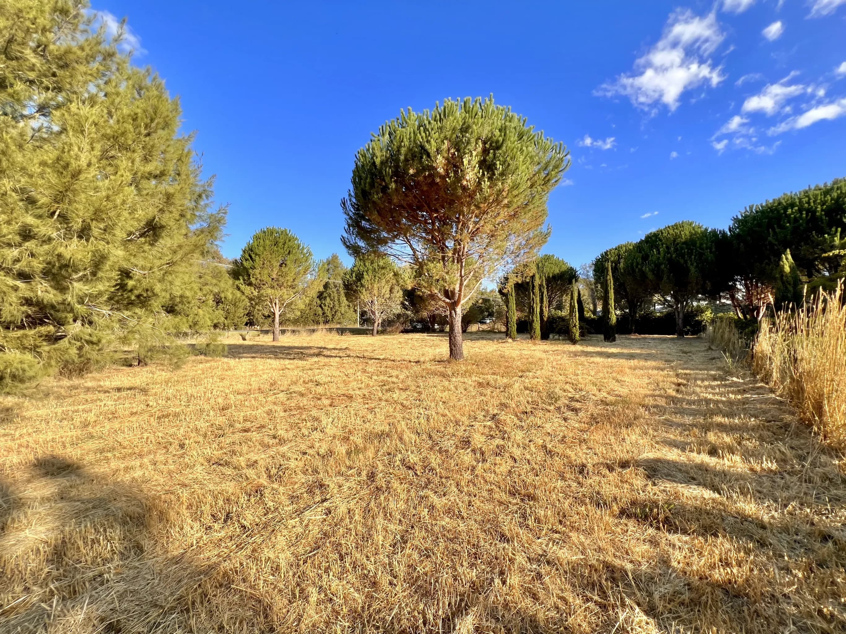94 Cork Street, Gundaroo NSW 2620, Gundaroo - Thumbnail 8
