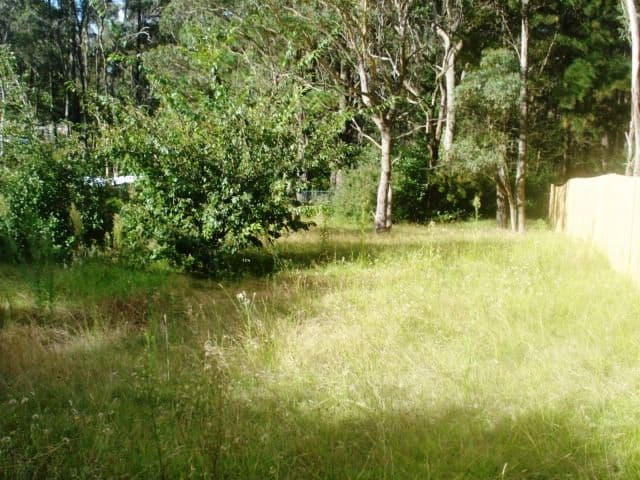 341 Great Western Highway, Blackheath NSW 2785, Blackheath - Thumbnail 3