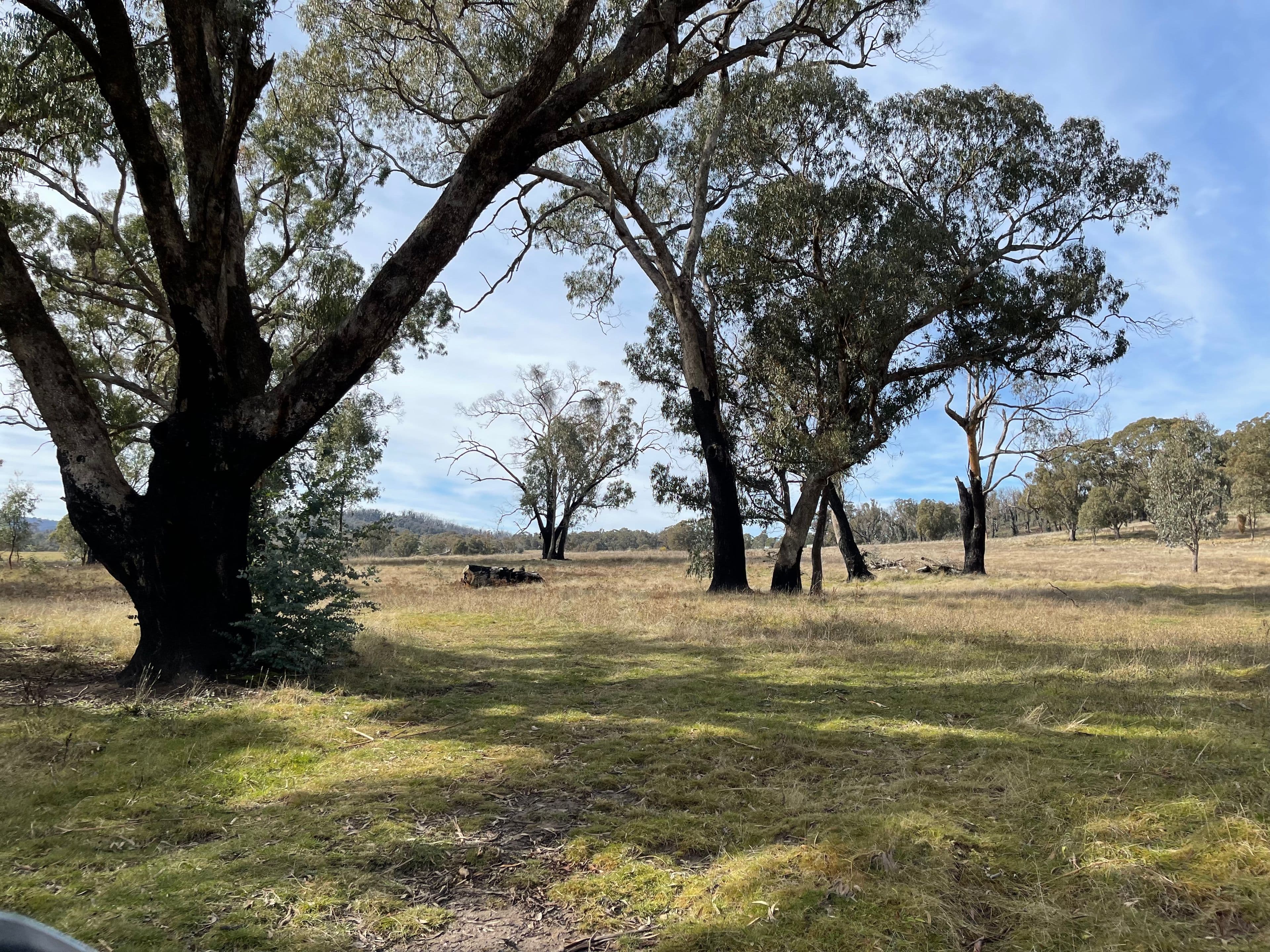 57 Paddys Flats Track, Paddys River NSW 2653, Paddys River - Image 1