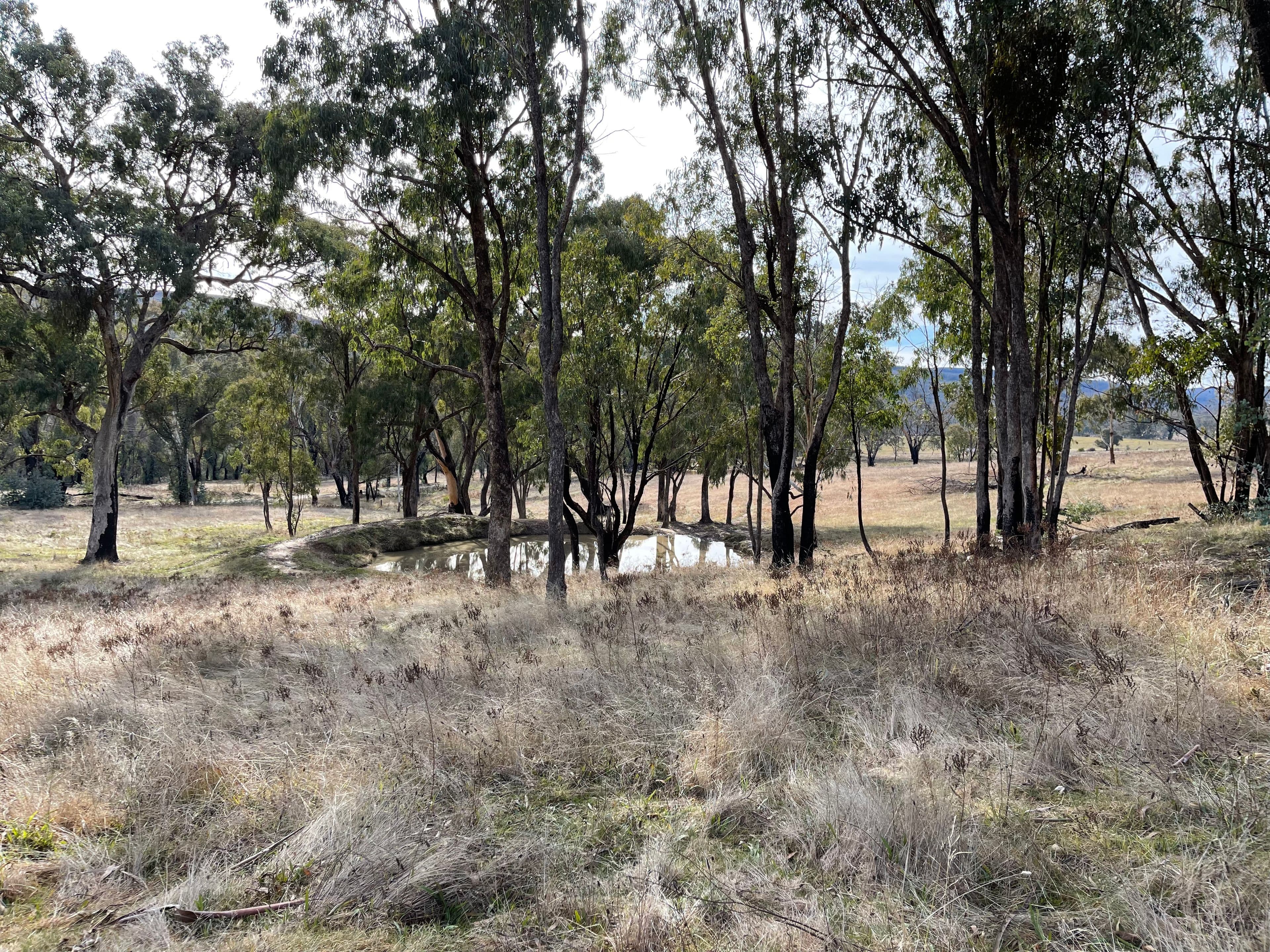 57 Paddys Flats Track, Paddys River NSW 2653, Paddys River - Thumbnail 2