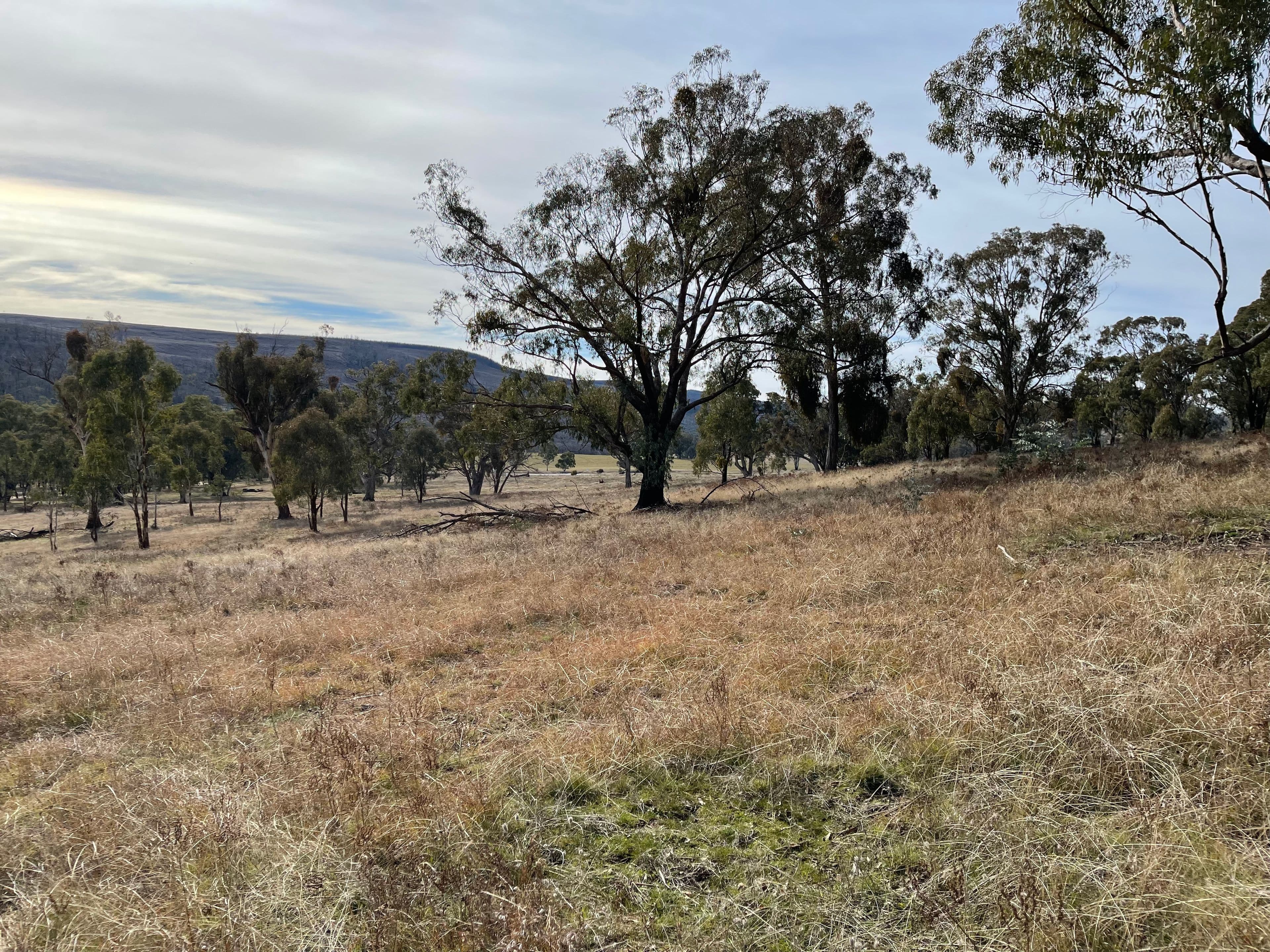 57 Paddys Flats Track, Paddys River NSW 2653, Paddys River - Thumbnail 4