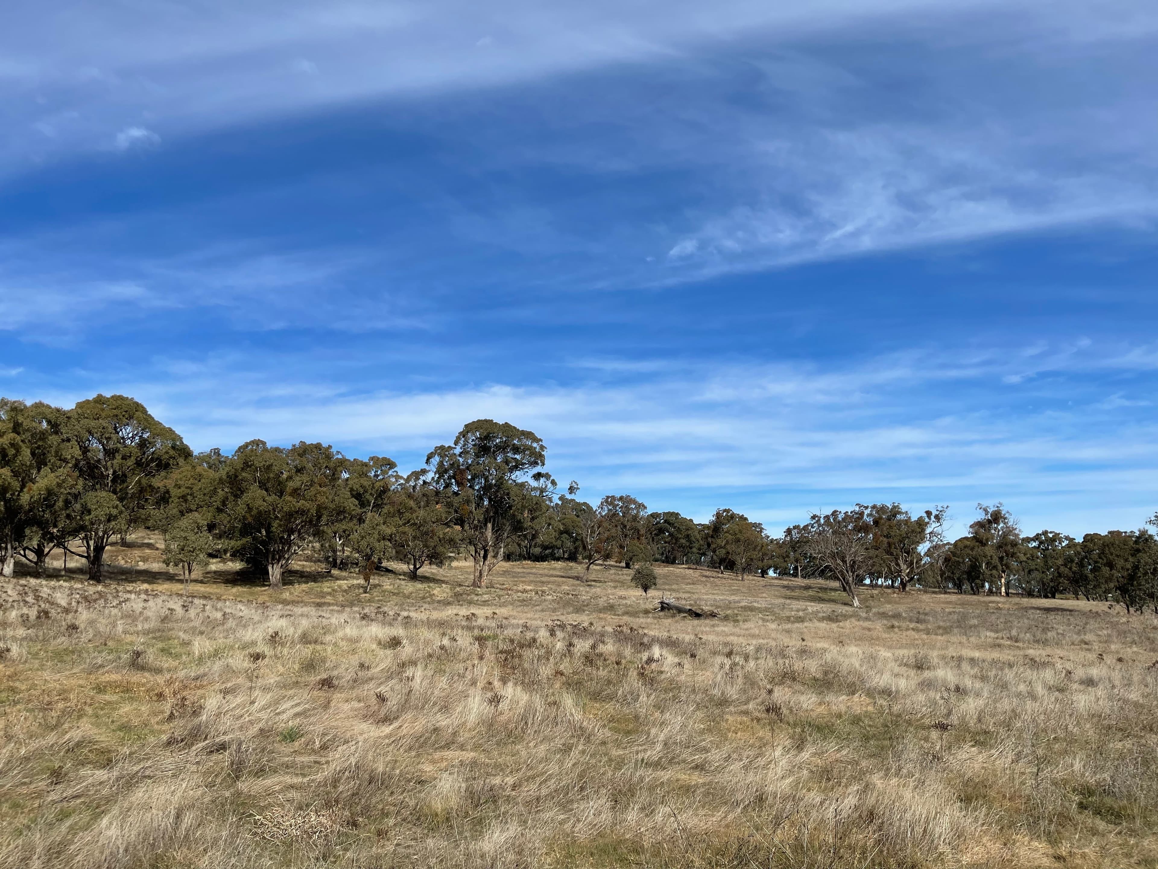 57 Paddys Flats Track, Paddys River NSW 2653, Paddys River - Thumbnail 6
