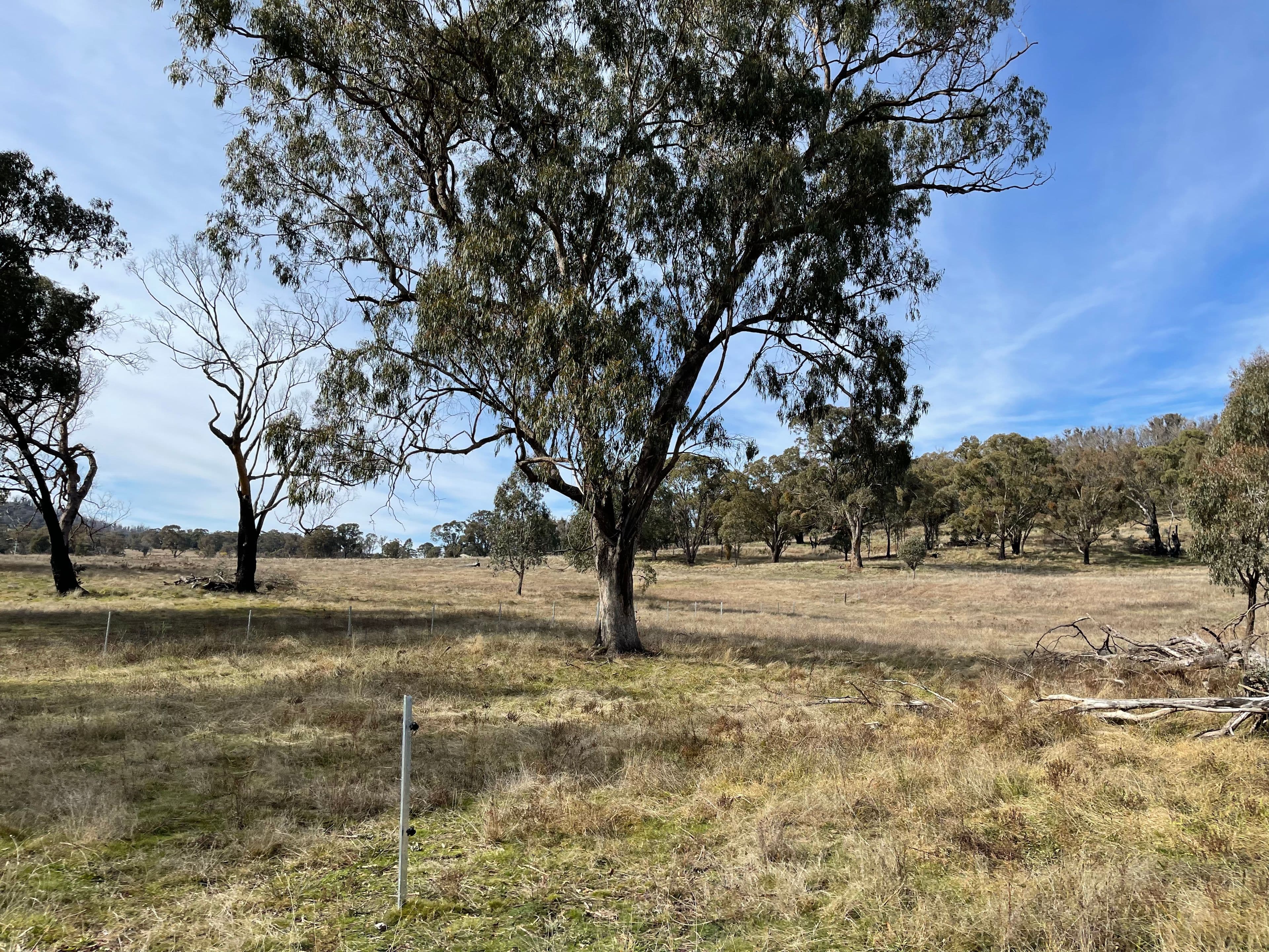 57 Paddys Flats Track, Paddys River NSW 2653, Paddys River - Thumbnail 8