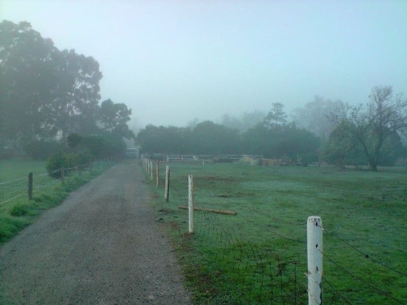 38 River Avenue, MADDINGTON WA 6109, Maddington - Thumbnail 2