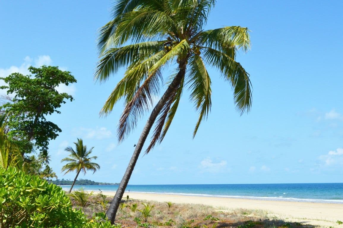 6 Triton Street, Mission Beach QLD 4852, Mission Beach - Thumbnail 6