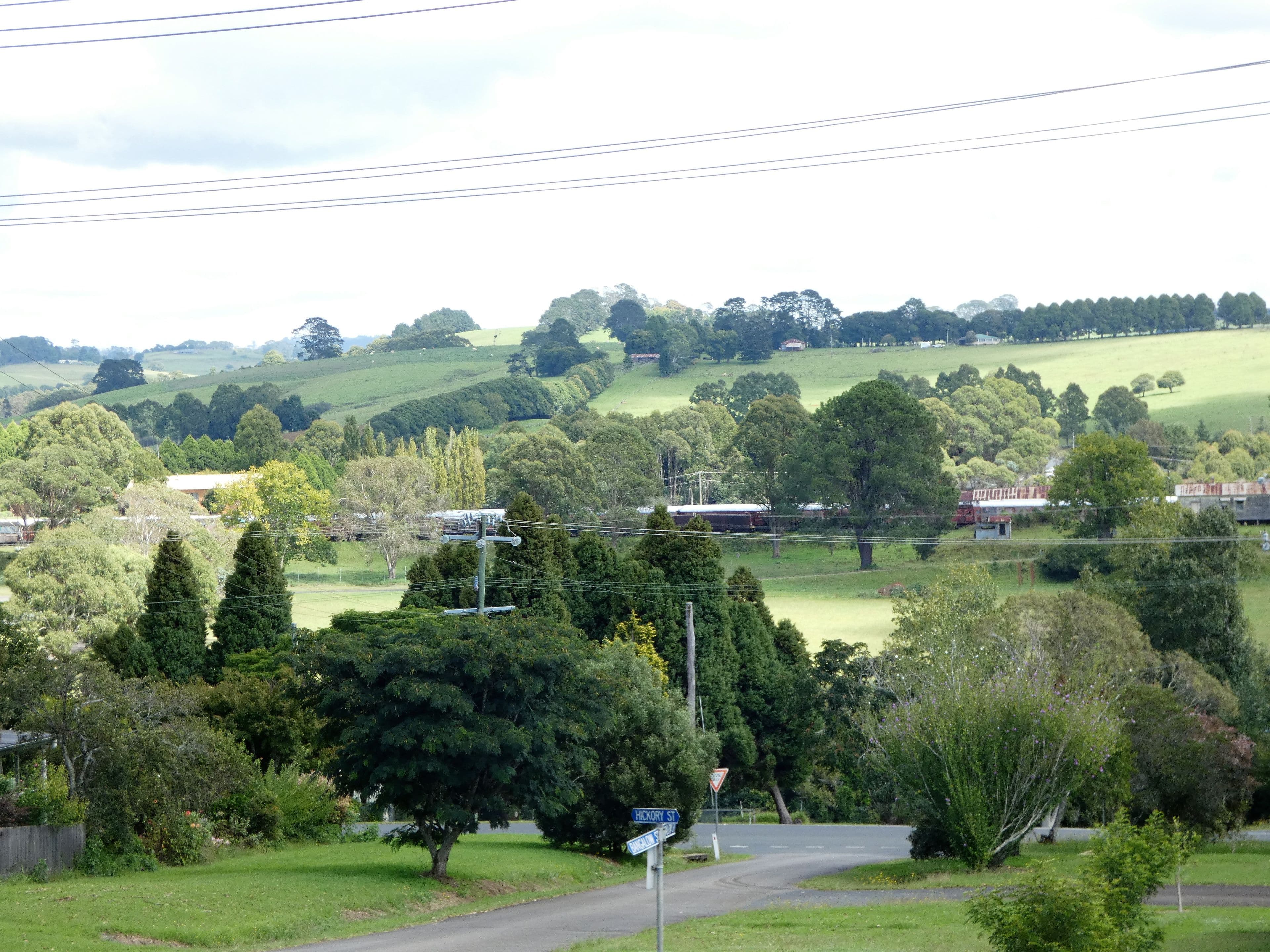 Dorrigo NSW 2453, Dorrigo - Thumbnail 2