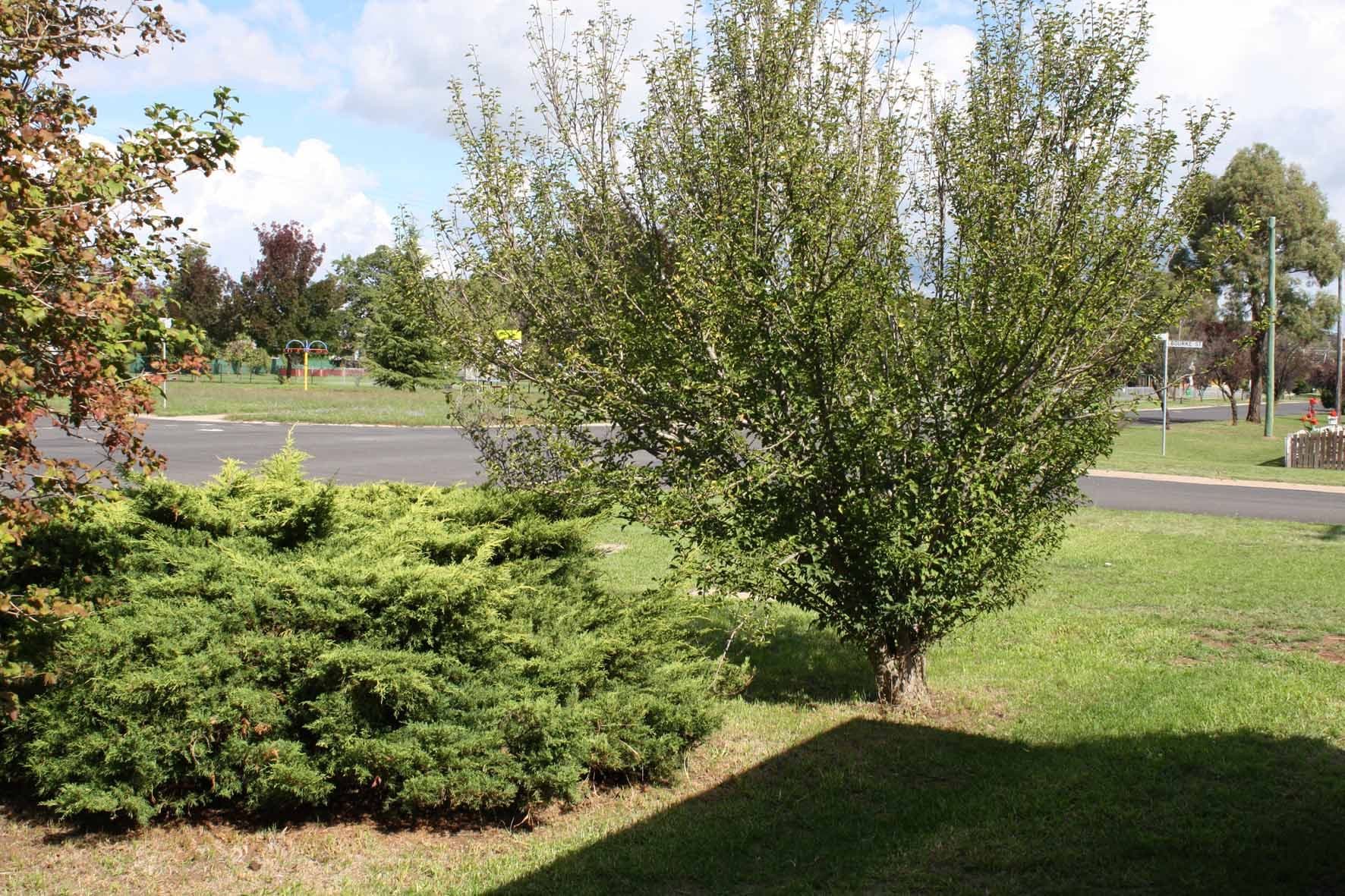 48 Bourke, GLEN INNES NSW 2370, Glen Innes - Thumbnail 7