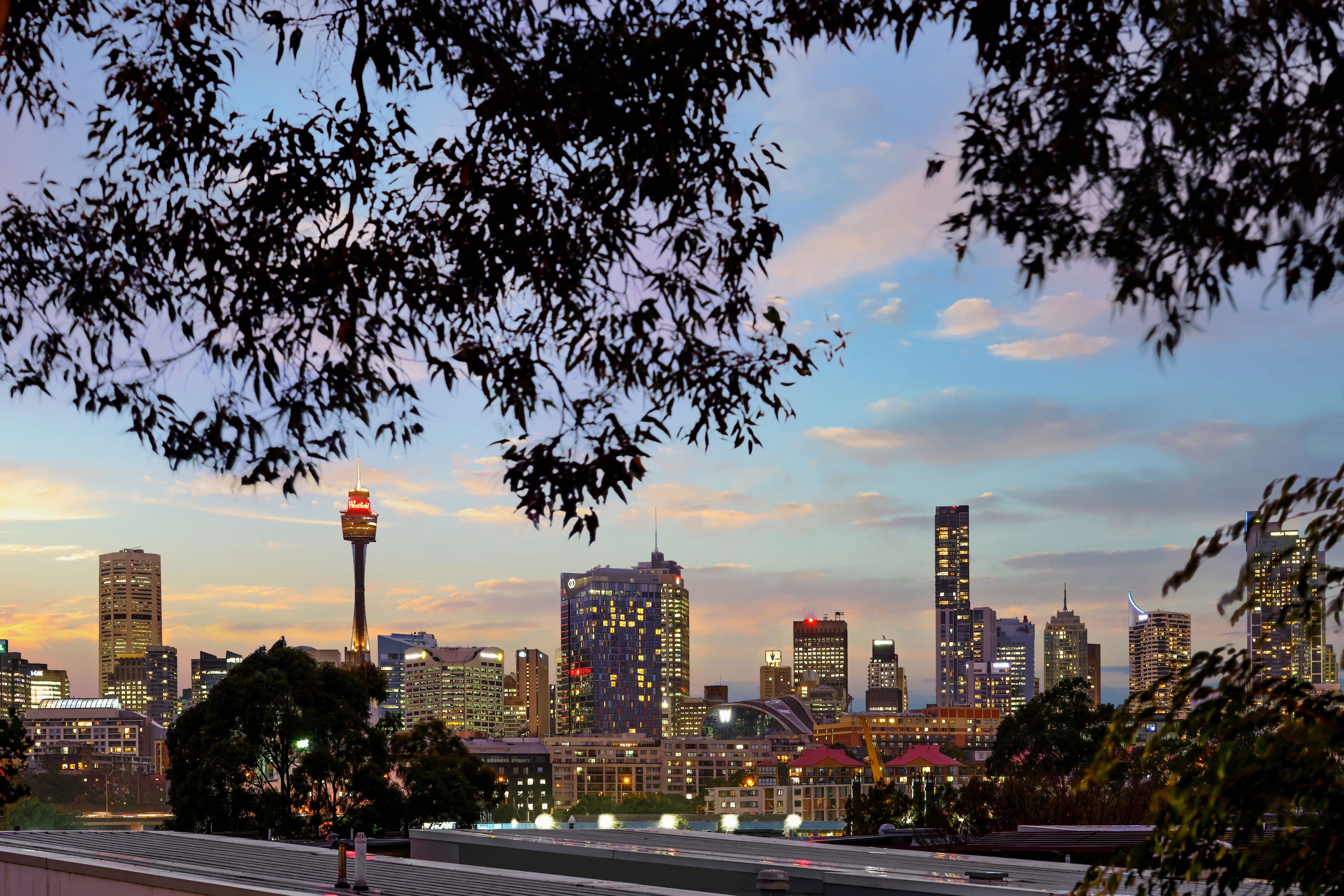 5/23-25 Cook Street, Glebe NSW 2037, Glebe - Thumbnail 2
