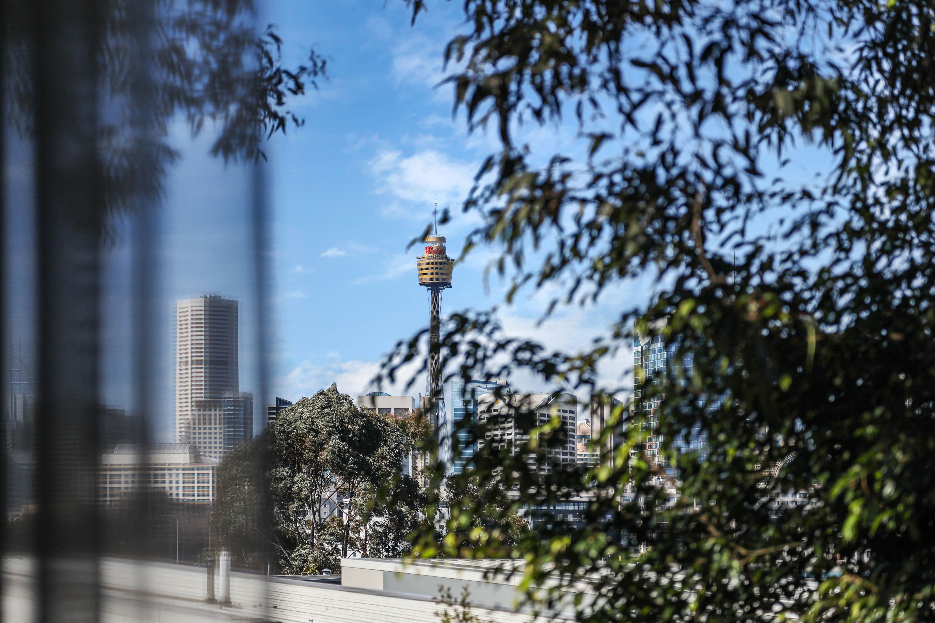 5/23-25 Cook Street, Glebe NSW 2037, Glebe - Thumbnail 7
