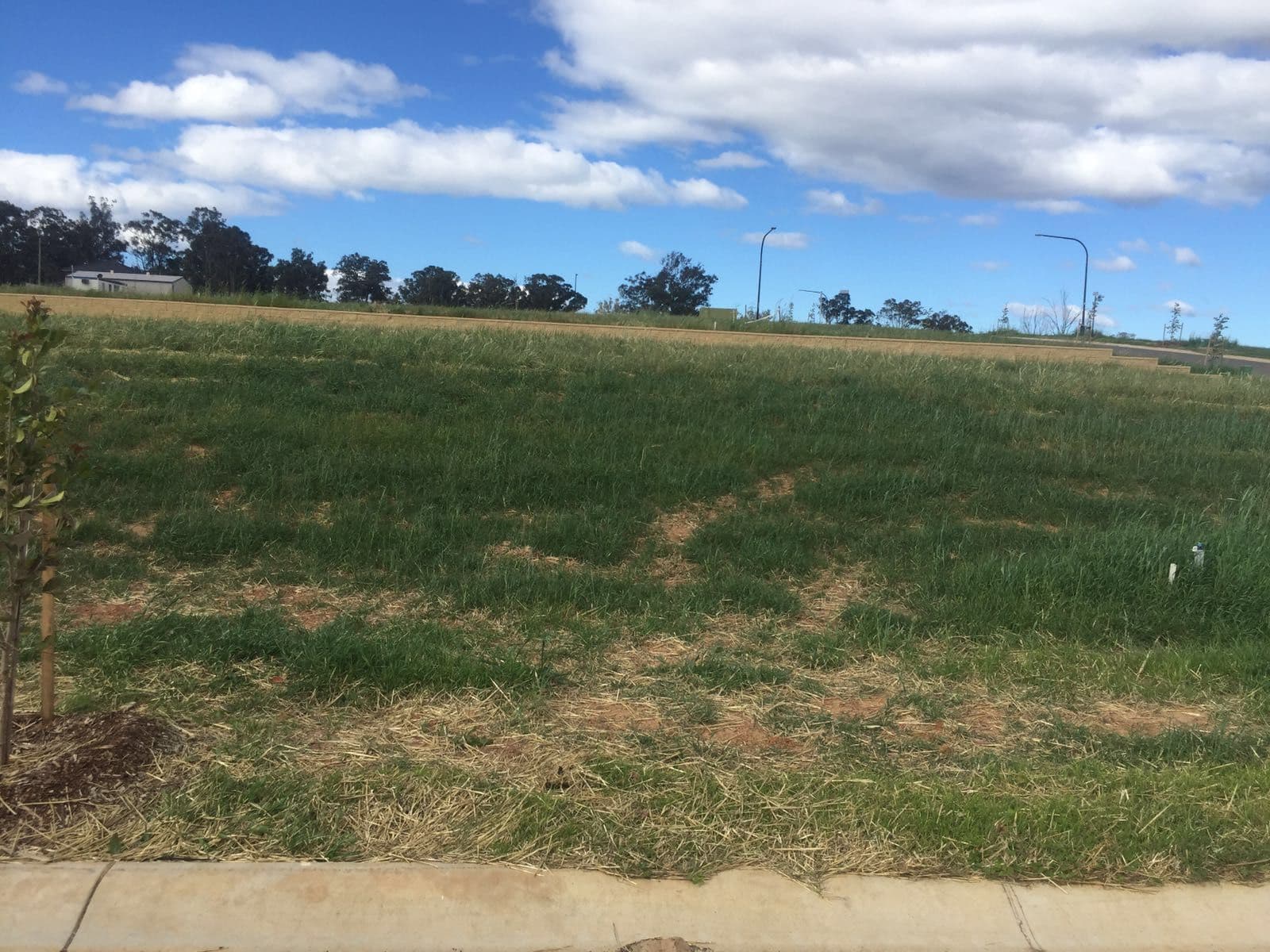 LOT 534 OAKLANDS Estate, Schofields NSW 2762, Schofields - Thumbnail 2