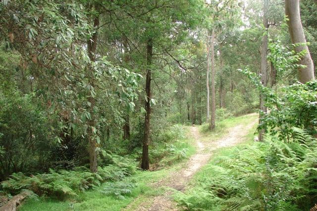 158 Lieutenant Bowen Road, BOWEN MOUNTAIN NSW 2753, Bowen Mountain - Thumbnail 7
