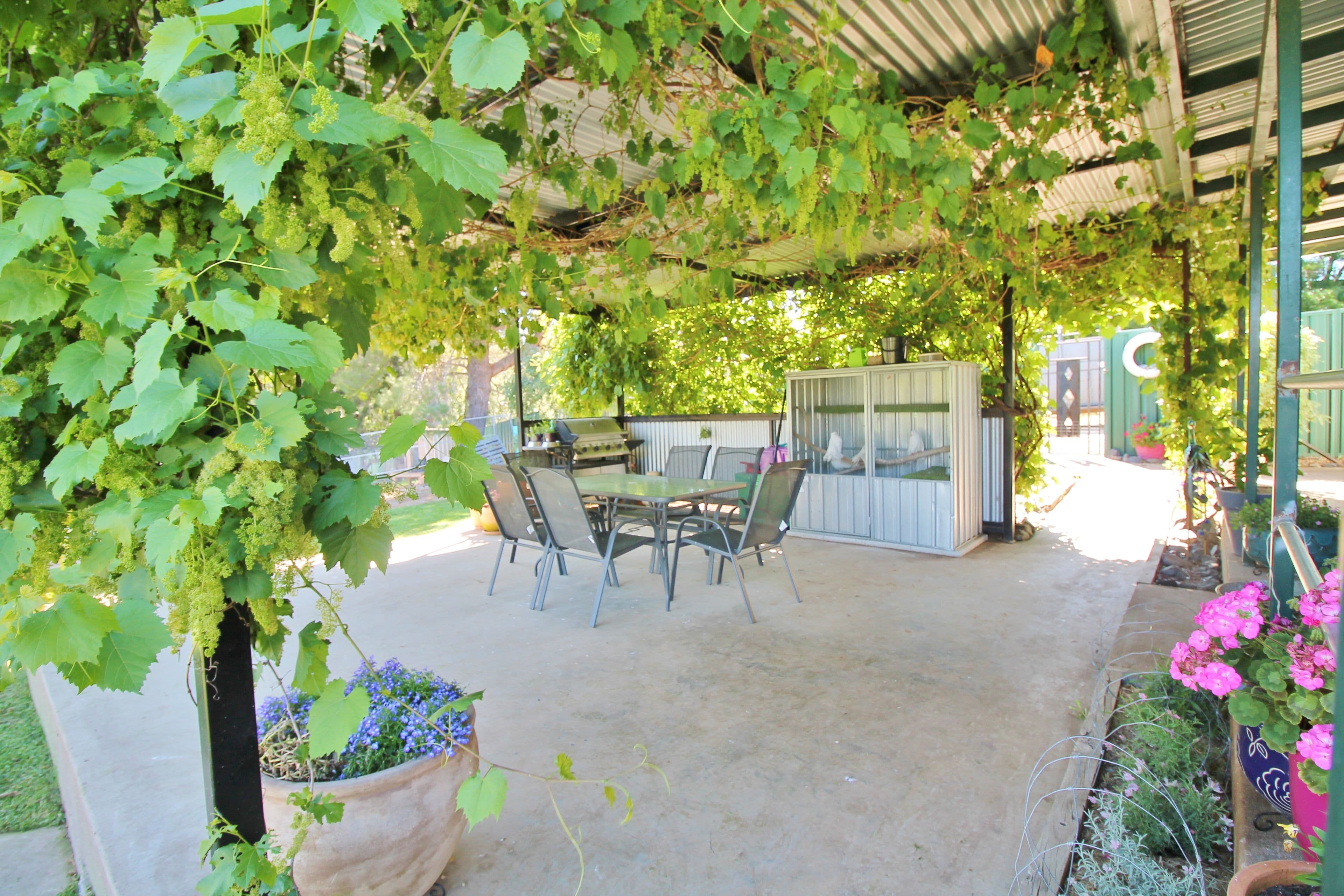 105 Victoria Gully Road, Young NSW 2594, Young - Image 1