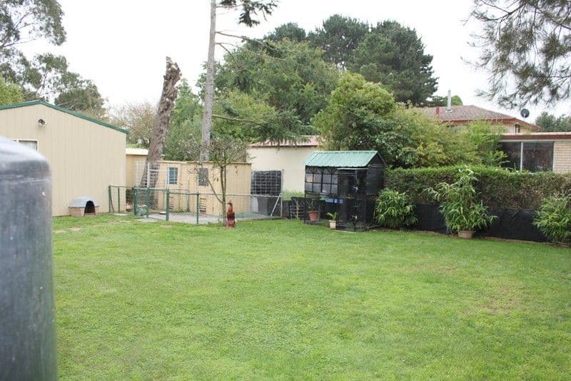 15 Malone Street, BRAIDWOOD NSW 2622, Braidwood - Thumbnail 4