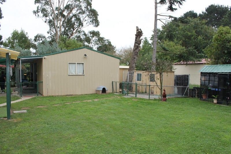 15 Malone Street, BRAIDWOOD NSW 2622, Braidwood - Thumbnail 5
