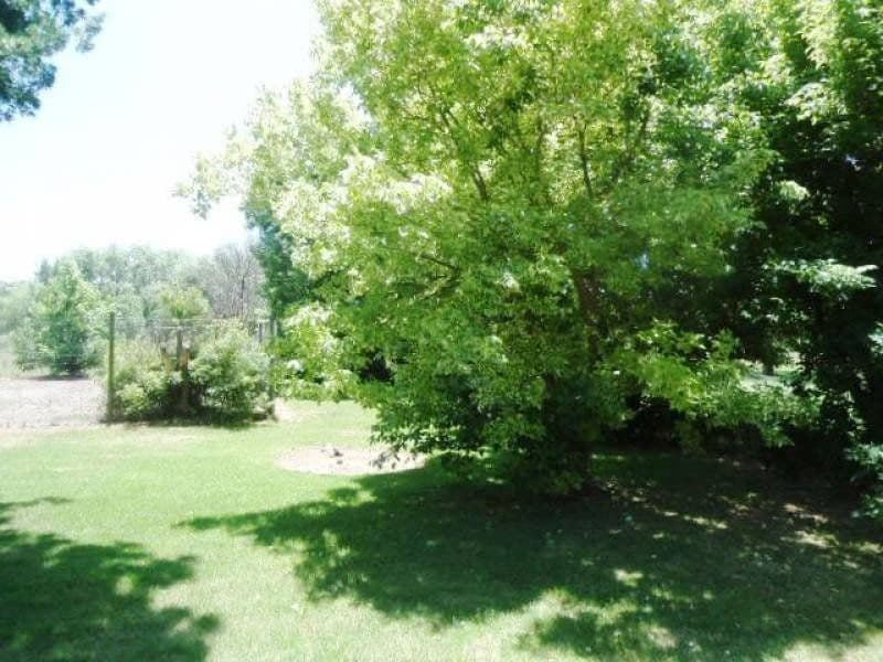 67 Rodeo Drive, COOTAMUNDRA NSW 2590, Cootamundra - Thumbnail 4
