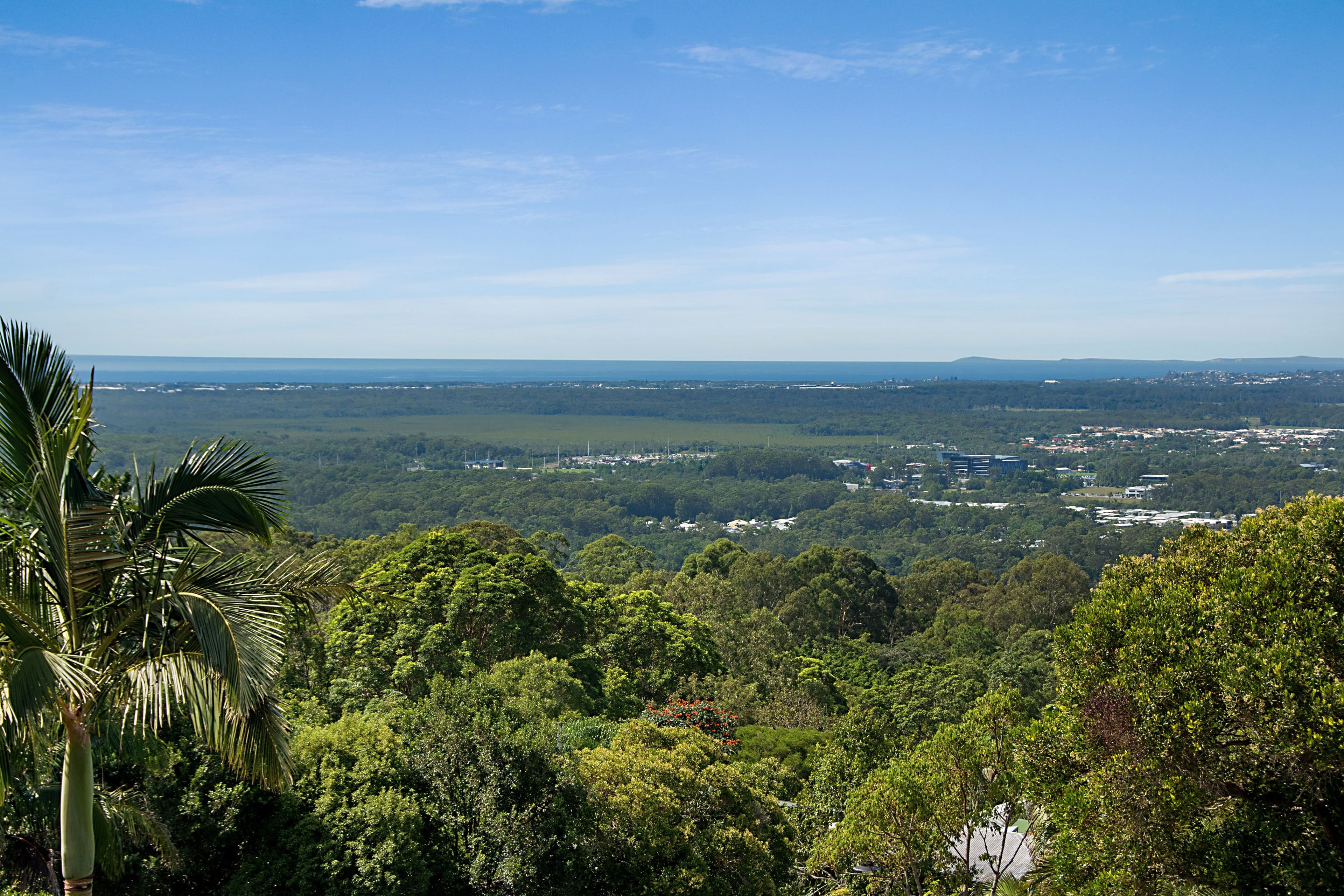 3 Orient Court, Buderim QLD 4556, Buderim - Thumbnail 3