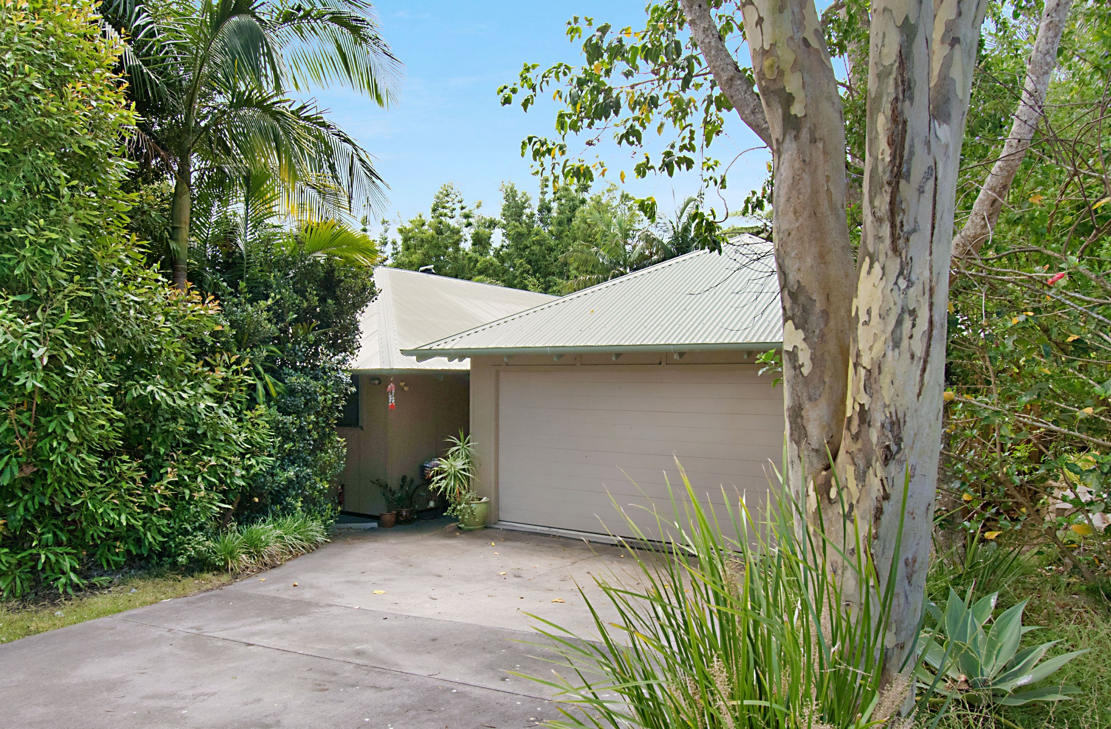 11 Oodgeroo Gardens, Byron Bay - Thumbnail 2