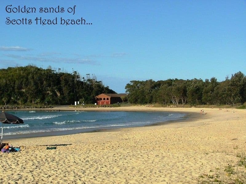 94 Wallace Street, MACKSVILLE NSW 2447, Macksville - Thumbnail 2