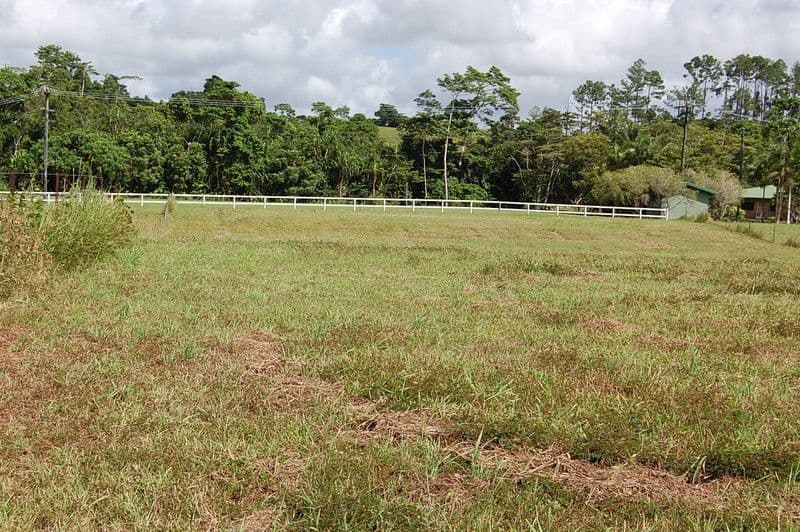 2 Witchetty Place, INNISFAIL QLD 4860, Innisfail - Image 1