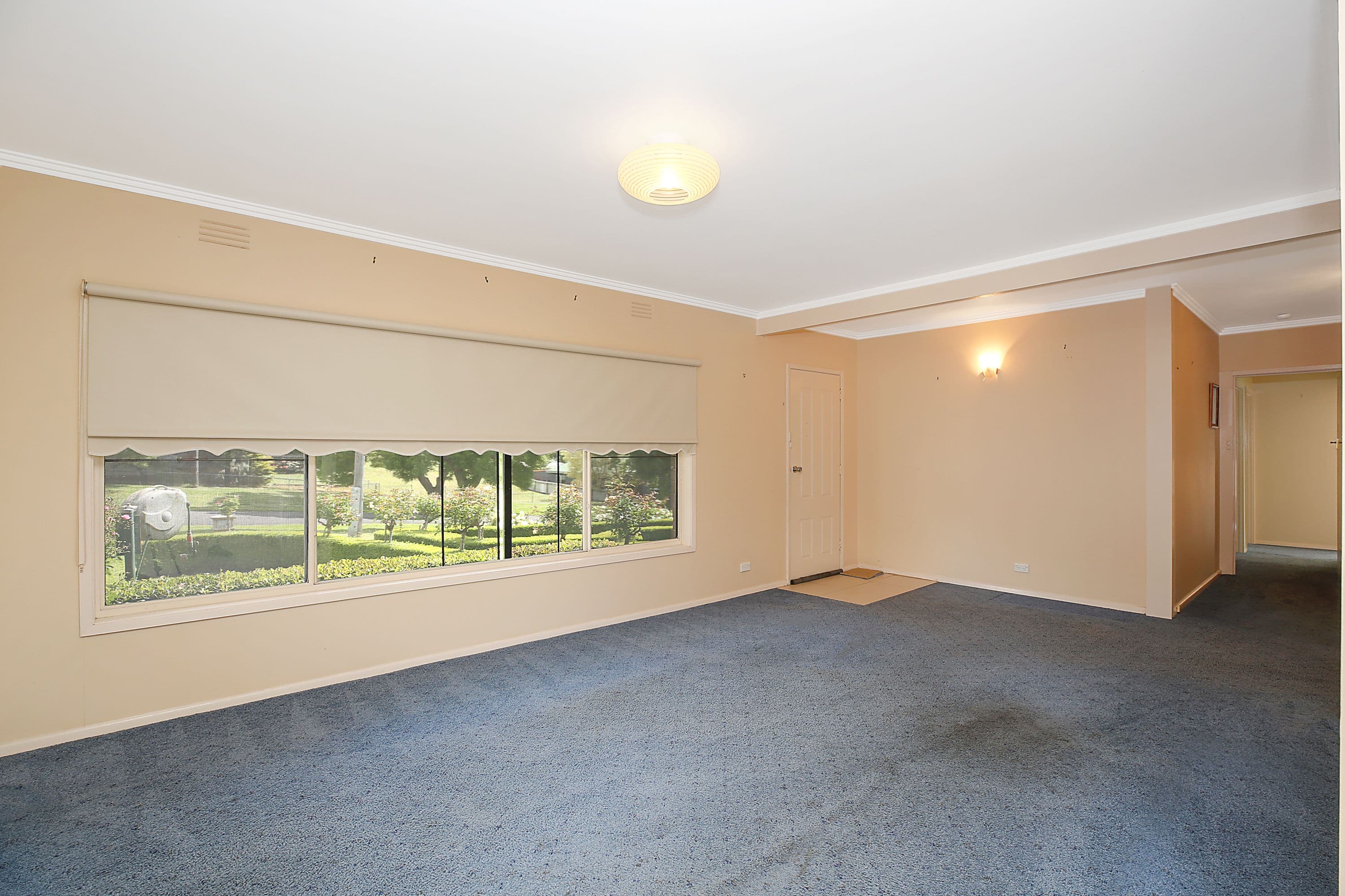 6 Barkly Street, Camperdown VIC 3260, Camperdown - Thumbnail 5