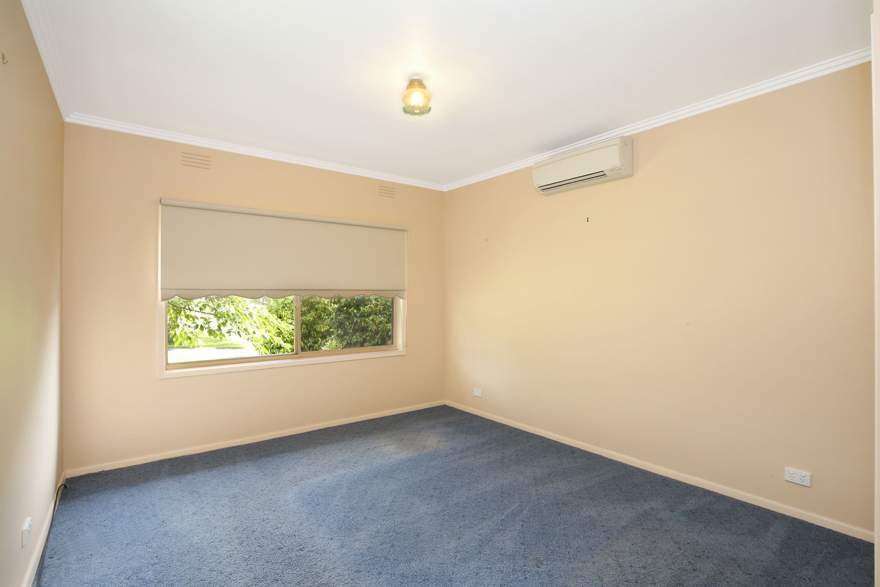 6 Barkly Street, Camperdown VIC 3260, Camperdown - Thumbnail 6