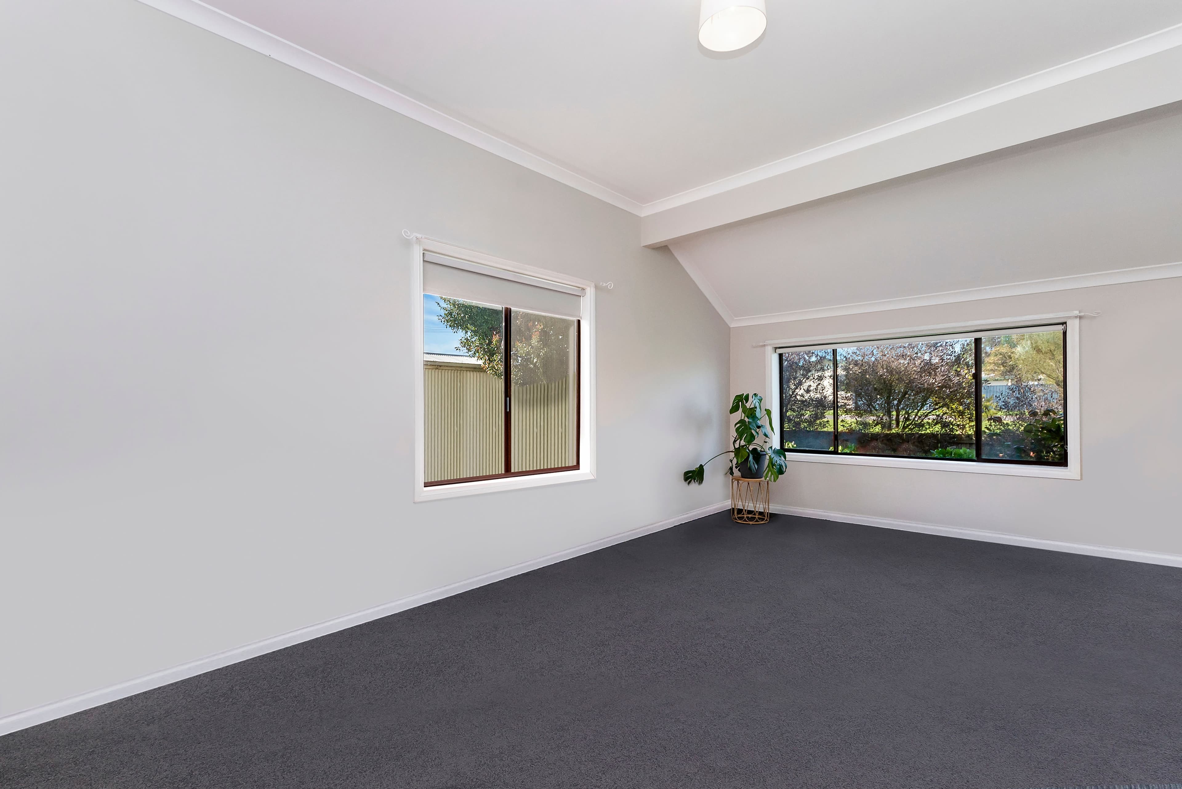 60 Swanston Street, Terang VIC 3264, Terang - Thumbnail 6