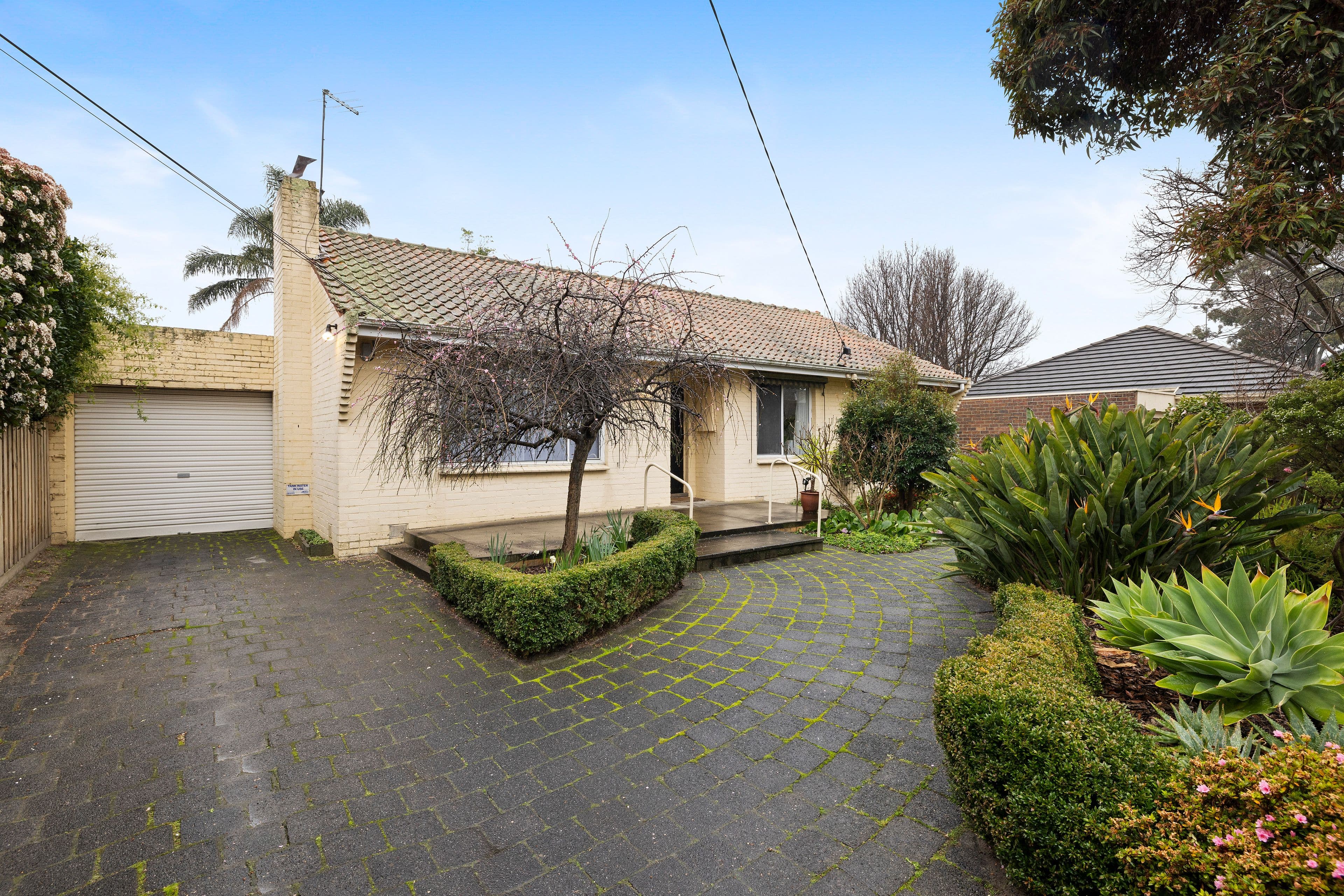 23 Sycamore Avenue, Mentone VIC 3194, Mentone - Thumbnail 2