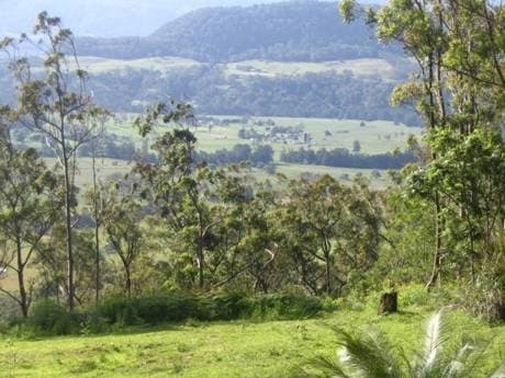 1361a Kangaroo Valley Road, Kangaroo Valley, Kangaroo Valley - Thumbnail 7