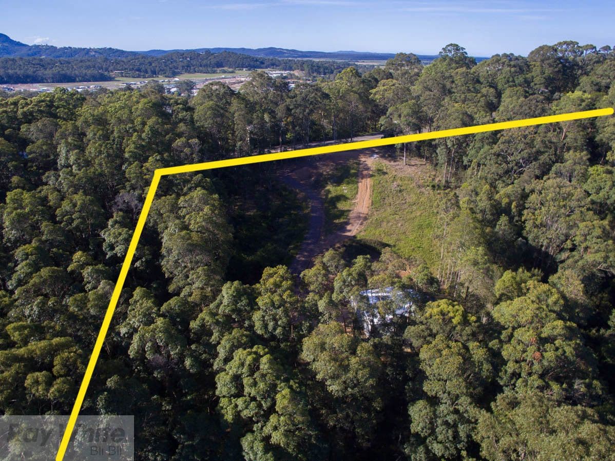 82 Camp Flat Road, Bli Bli QLD 4560, Bli Bli - Thumbnail 5