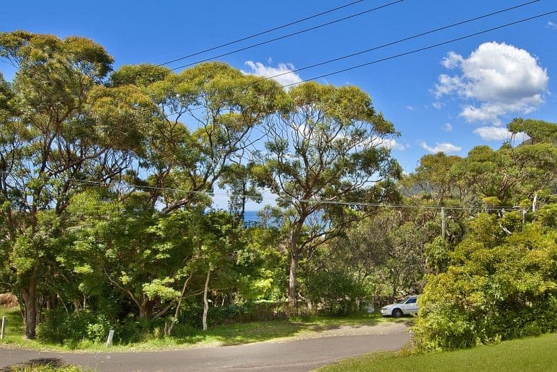 62 The Drive, STANWELL PARK NSW 2508, Stanwell Park - Thumbnail 6