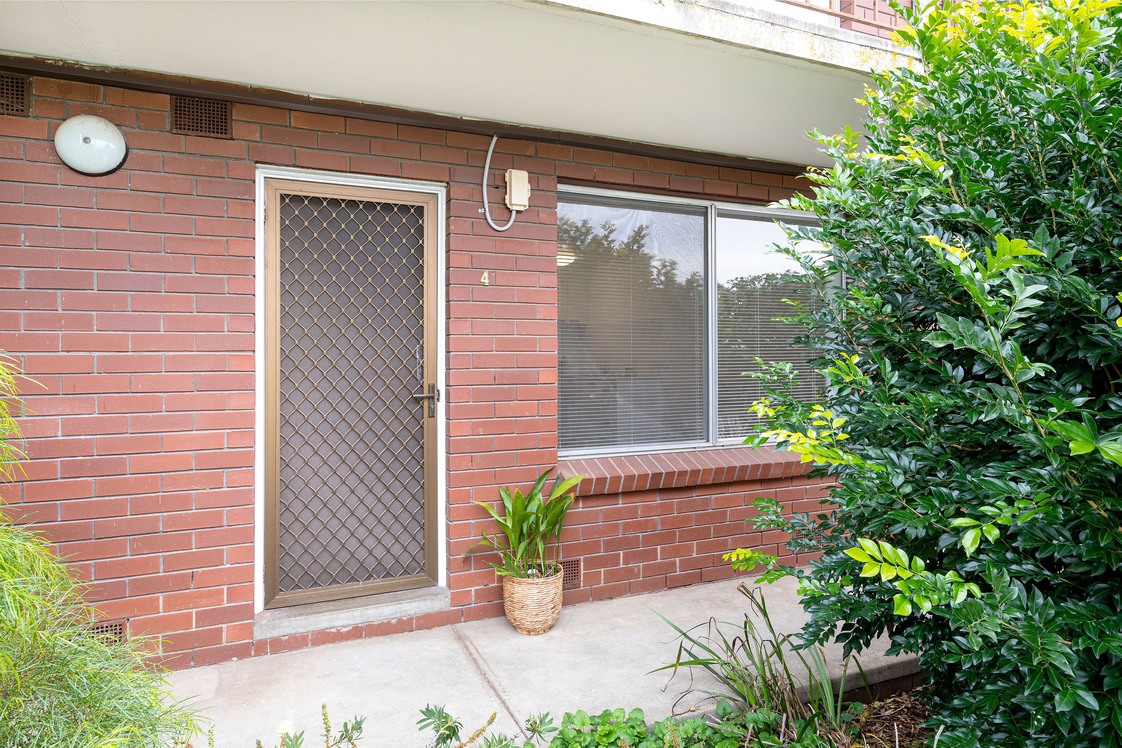 84 Latrobe Street, Mentone VIC 3194, Mentone - Thumbnail 8