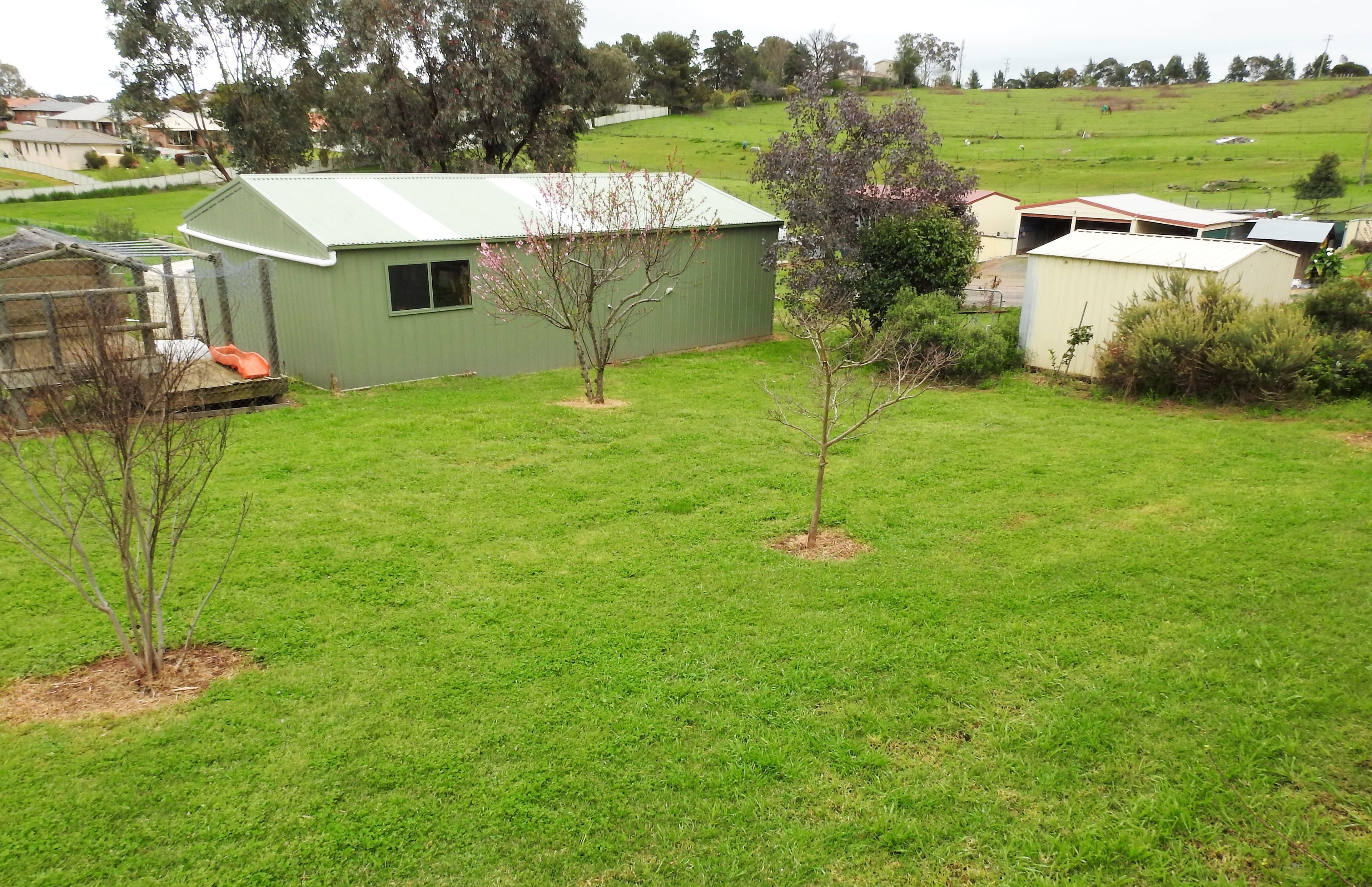 87 Elizabeth Street, Young - Thumbnail 7