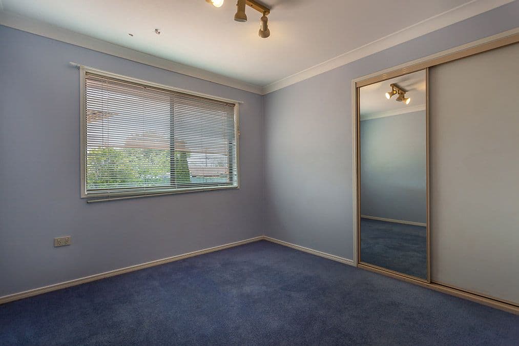 8 Collard Court, Darling Heights QLD 4350, Darling Heights - Thumbnail 7