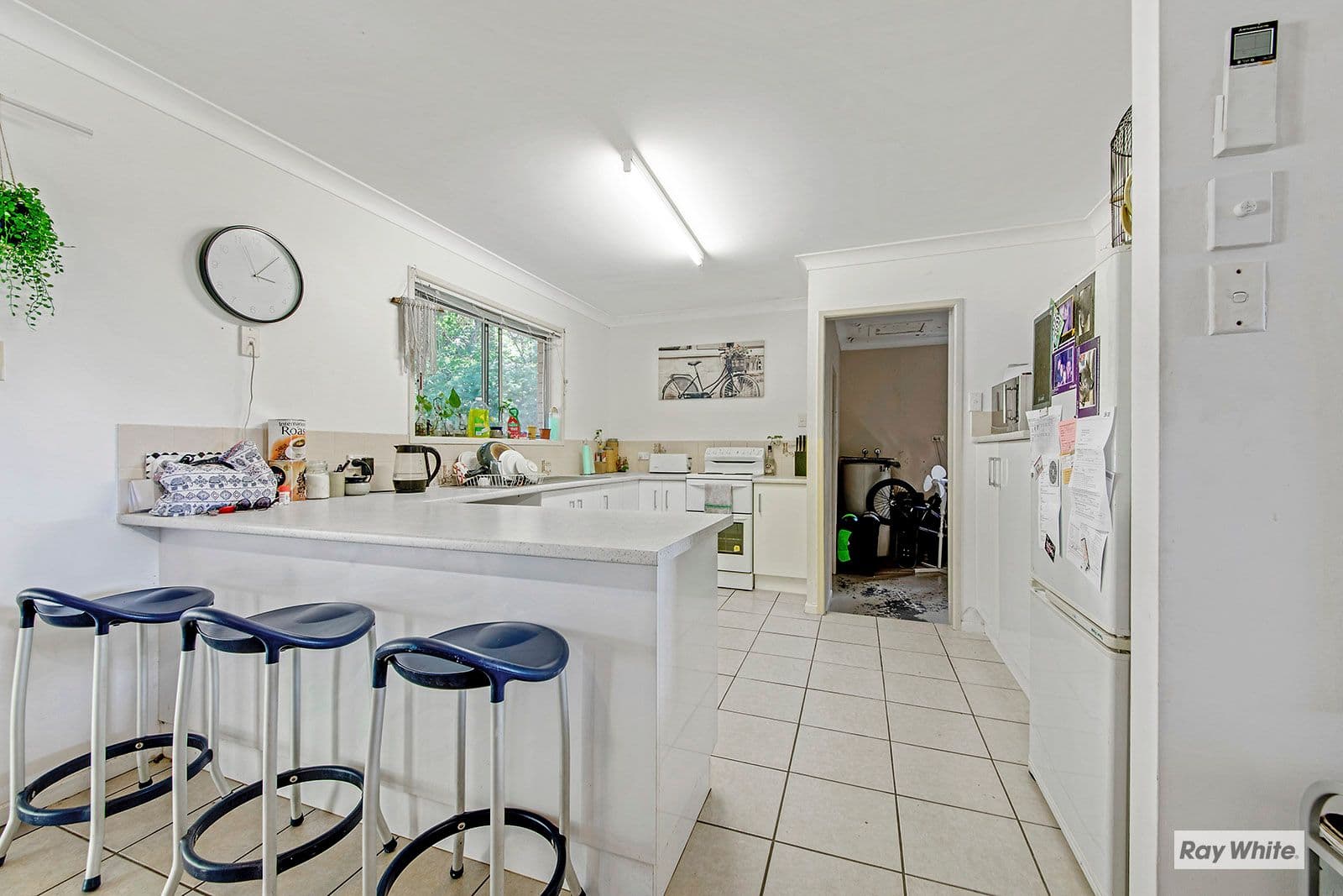 16 Athena Avenue, Barlows Hill QLD 4703, Barlows Hill - Thumbnail 3