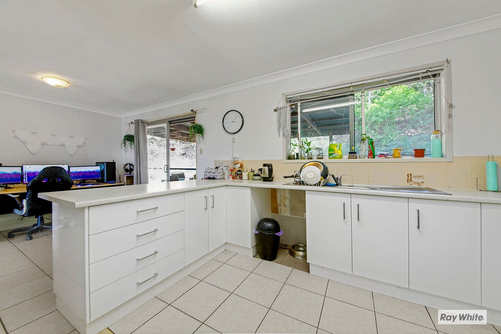 16 Athena Avenue, Barlows Hill QLD 4703, Barlows Hill - Thumbnail 4