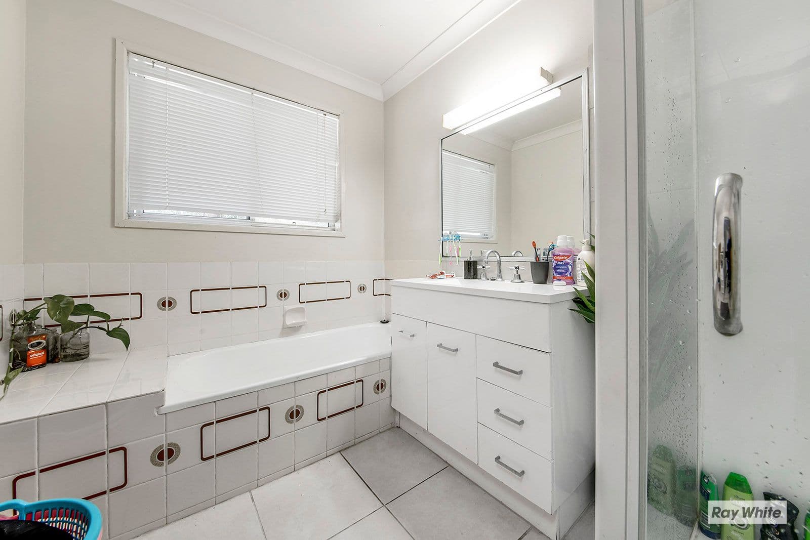 16 Athena Avenue, Barlows Hill QLD 4703, Barlows Hill - Thumbnail 7