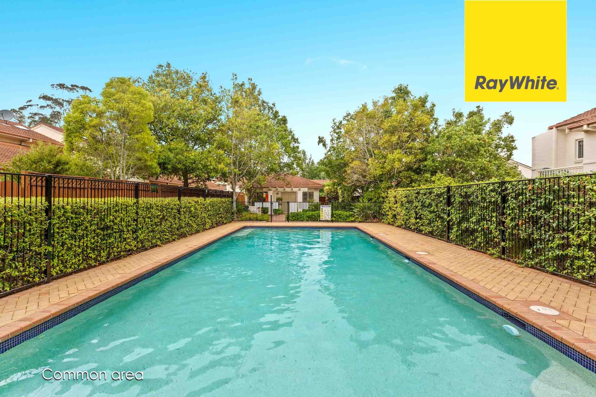 1-5 Busaco Road, Marsfield NSW 2122, Marsfield - Thumbnail 6