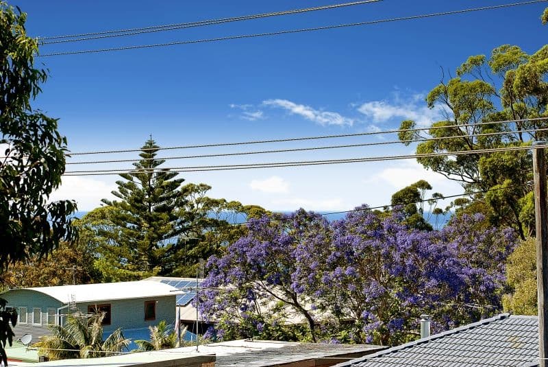 4 Annesley Avenue, STANWELL TOPS NSW 2508, Stanwell Tops - Thumbnail 3