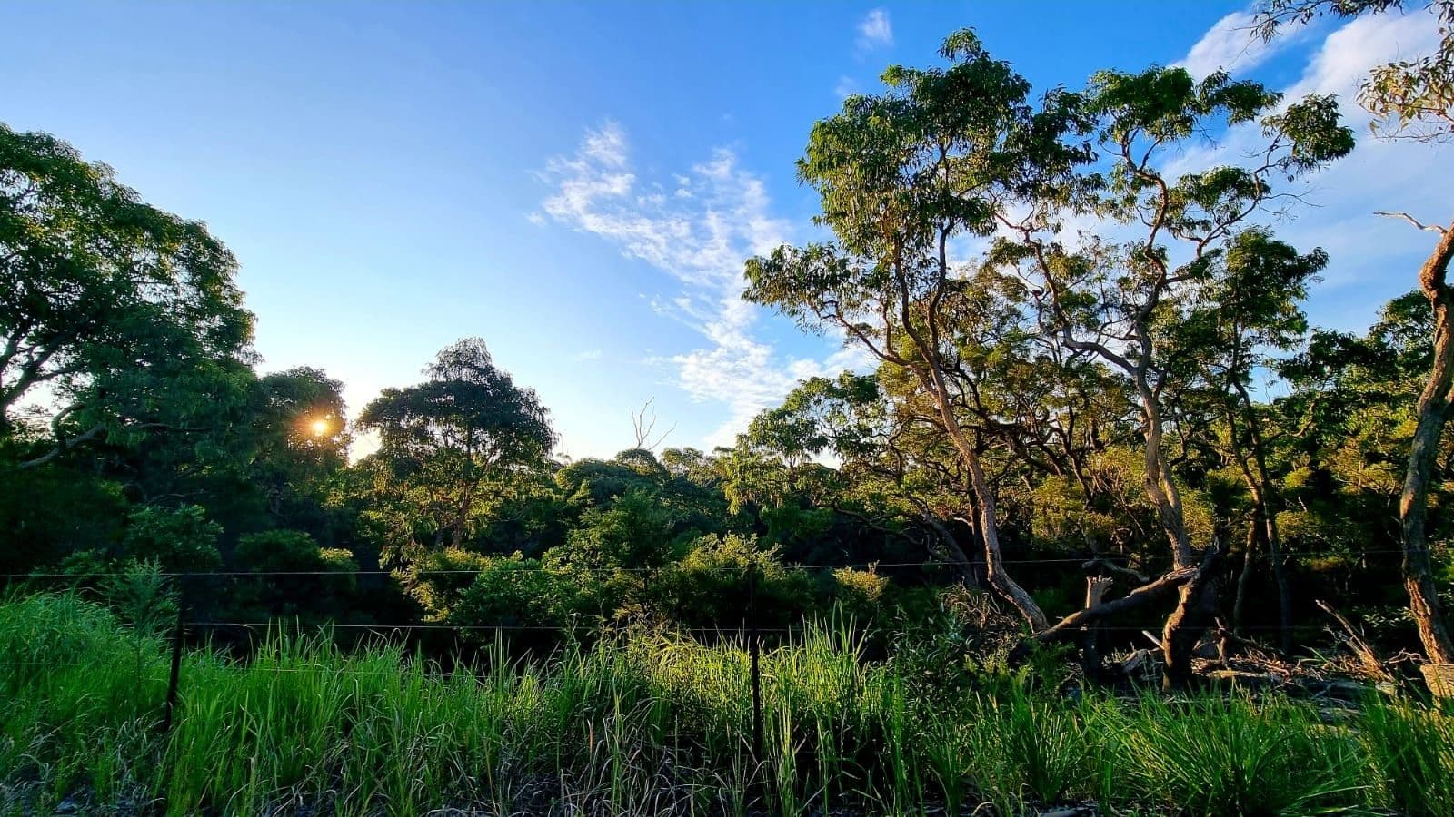 23 Riverside Way, North Kellyville NSW 2155, North Kellyville - Thumbnail 2