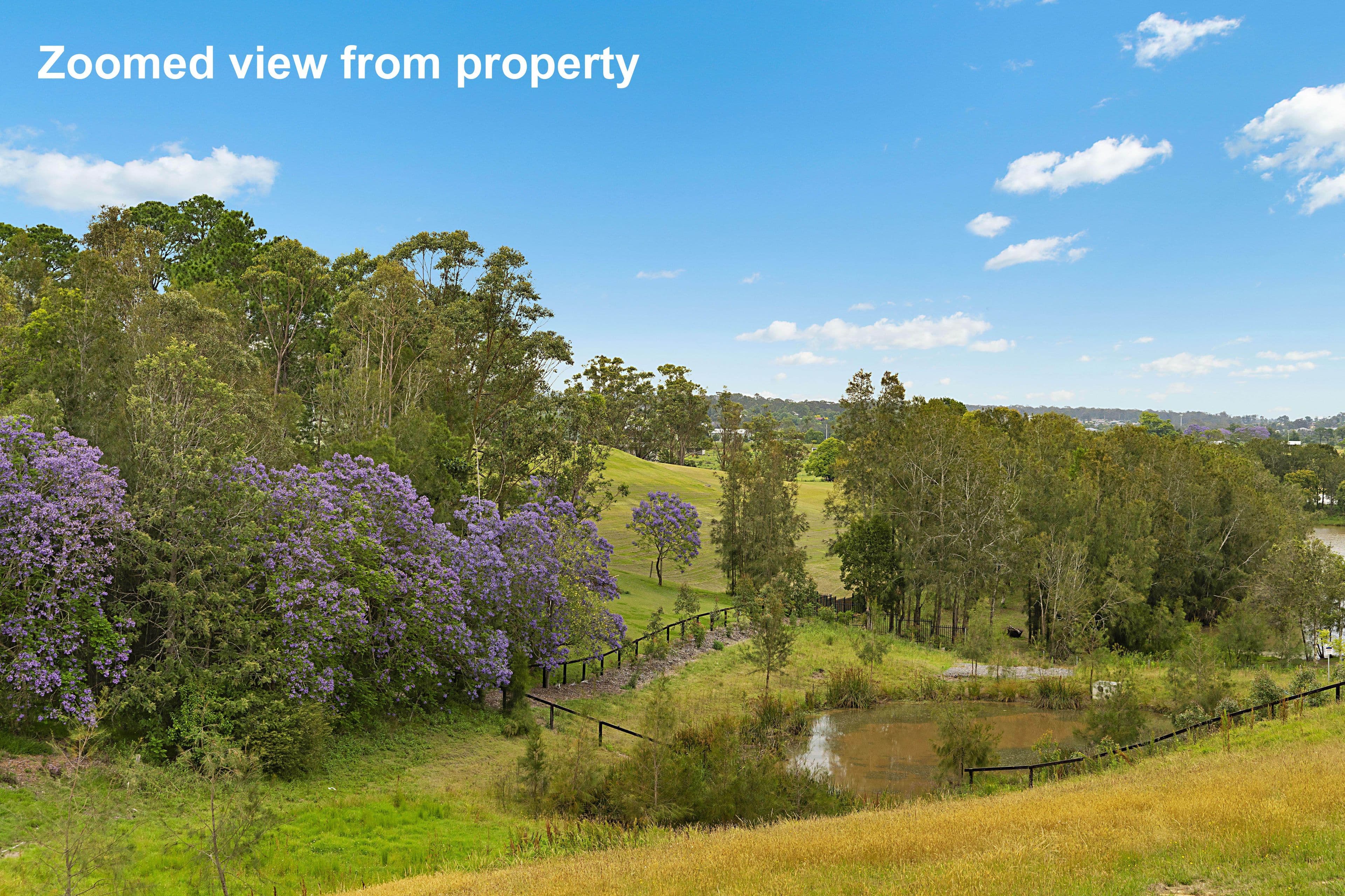 19 Pandanus Circuit, Bolwarra NSW 2320, Bolwarra - Thumbnail 5