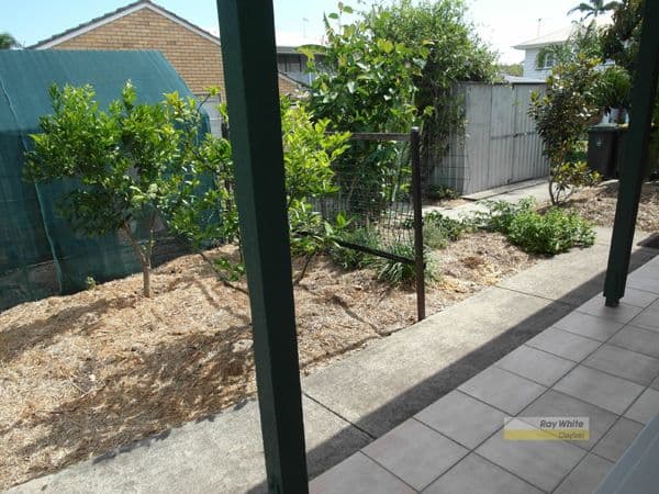 86 Harding Street, HENDRA QLD 4011, Hendra - Thumbnail 6