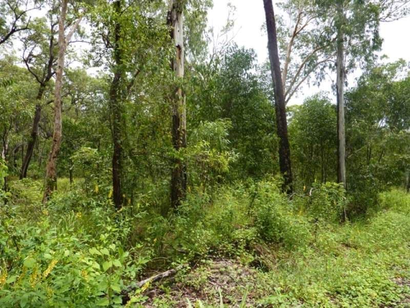 75 Pine Creek Road, EAST TRINITY QLD 4871, East Trinity - Thumbnail 4