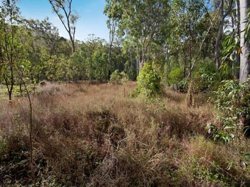75 Pine Creek Road, EAST TRINITY QLD 4871, East Trinity - Thumbnail 6