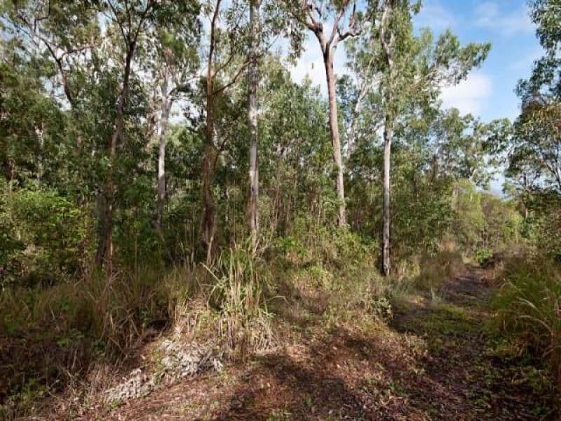 75 Pine Creek Road, EAST TRINITY QLD 4871, East Trinity - Thumbnail 7