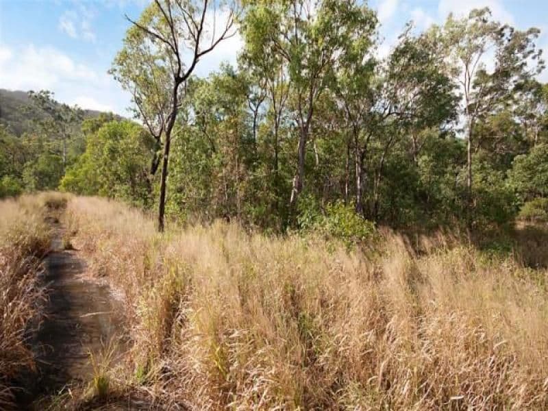 75 Pine Creek Road, EAST TRINITY QLD 4871, East Trinity - Thumbnail 8