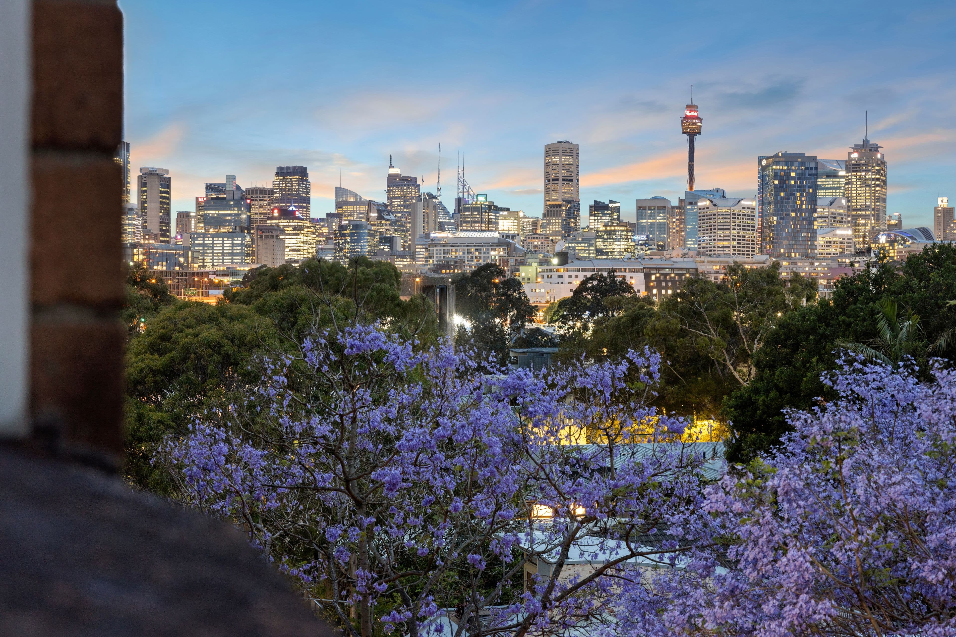 2-6 Sheehy Street, Glebe NSW 2037, Glebe - Image 1