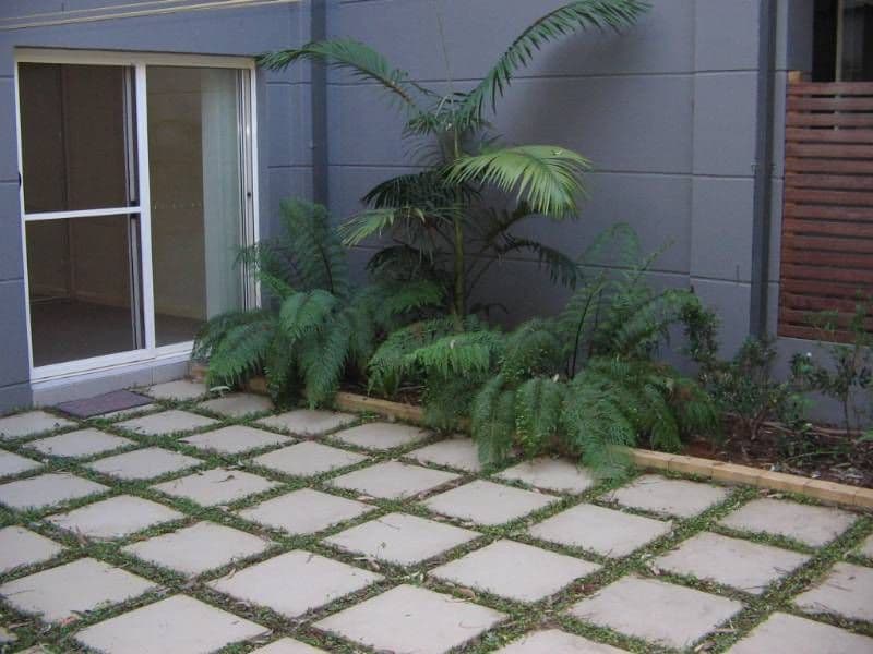 2-4 Bloomsbury Avenue, PYMBLE NSW 2073, Pymble - Thumbnail 6